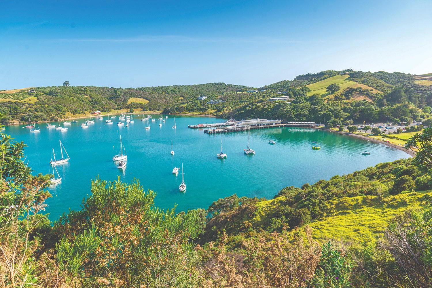 Waiheke Island, Auckland