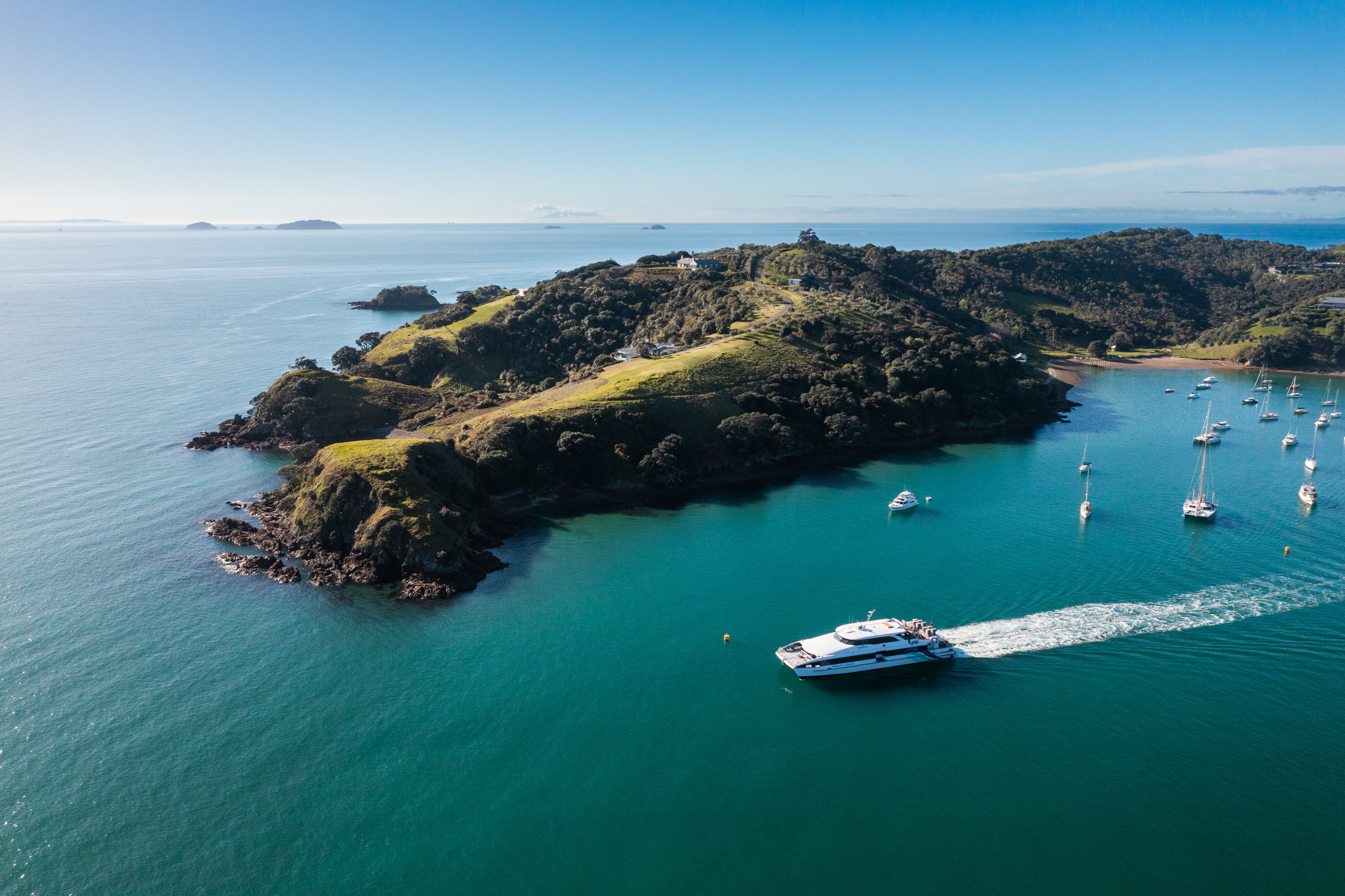 Waiheke-Island-Family-Shaun Jeffers-2022-170-min.jpg